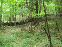 dud cellar hole hunts 007 [].jpg.png