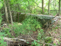 JULY 16TH dud cellar hole WITH PAUL 004 [].jpg.png