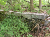 JULY 16TH dud cellar hole WITH PAUL 005 [].jpg.png