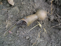 JULY 16TH dud cellar hole WITH PAUL 003 [].jpg.png