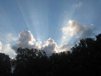 IMG_4354.JPG.png