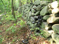 JULY 24TH SWELTERING HUNT WITH PAUL AND FRANK 021 [].jpg.png