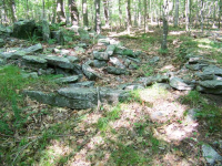 1846 site 1.JPG.png