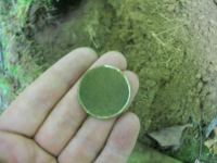 AUG  1ST CELLAR HOLES WITH GARY 1837 HT TOKEN 005 [].jpg.png
