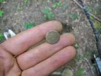 AUG  1ST CELLAR HOLES WITH GARY 1837 HT TOKEN 011 [].jpg.png