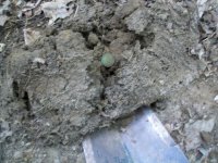 AUG  1ST CELLAR HOLES WITH GARY 1837 HT TOKEN 013 [].jpg