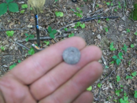 AUG 4thCELLAR HOLES WITH GARY 2 CENTER 002 [].jpg.png