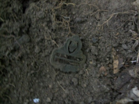 AUG 4thCELLAR HOLES WITH GARY 2 CENTER 018 [].jpg.png