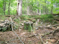AUG 4thCELLAR HOLES WITH GARY 2 CENTER 019 [].jpg.png