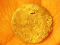 AUG 4thCELLAR HOLES WITH GARY 2 CENTER 026 [].jpg.png