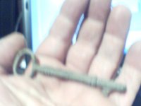 key cow 003.jpg