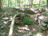 AUG 7th CELLAR HOLES WITH GARY and PAUL 012 [].jpg.png