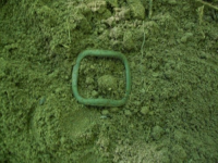 AUG 7th CELLAR HOLES WITH GARY and PAUL 009 [].jpg.png