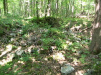 AUG 9th CELLAR HOLES WITH GARY GW BUTTON 006 [].jpg.png