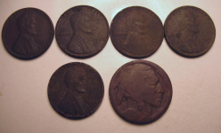 Wheats%20Buff%2010-12.jpg.png