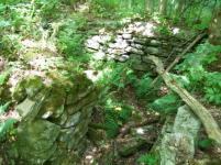 AUG 14th CELLAR HOLES WITH GARY FUGIO & HIBERNIA 008 [].jpg.png