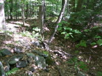 AUG 14th CELLAR HOLES WITH GARY FUGIO & HIBERNIA 018 [].jpg.png