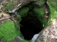 AUG 21ST CELLAR HOLES WITH FRANK 005 [].jpg.png