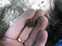 AUG 28 SOLO HUNT SEATED DIMES 003 [].jpg