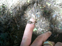AUG 28 SOLO HUNT SEATED DIMES 004 [].jpg.png
