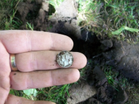 AUG 28 SOLO HUNT SEATED DIMES 005 [].jpg.png