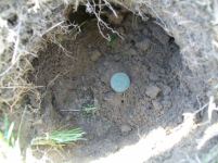 AUG 28 SOLO HUNT SEATED DIMES 010 [].jpg.png
