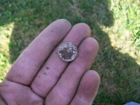 AUG 28 SOLO HUNT SEATED DIMES 013 [].jpg.png