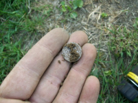 AUG 28 SOLO HUNT SEATED DIMES 015 [].jpg.png
