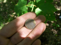 AUG 29 CELLAR HOLES 2 BUTTONS 001 [].jpg.png