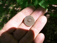 AUG 29 CELLAR HOLES 2 BUTTONS 002 [].jpg.png
