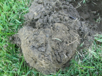 AUG 30th 2 INDIAN HEADS 001 [].jpg.png