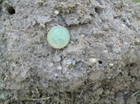 AUG 30th 2 INDIAN HEADS 004 [].jpg.png