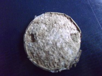 Badge2.JPG.png