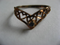 ring garden 005.JPG.png