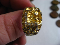 ring garden 003.JPG.png