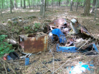 SEPT 3RD TRASHY CELLAR HOLE WITH FRANK 001 [].jpg.png