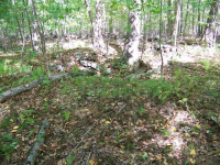 site 3 by c.st.1.JPG.png