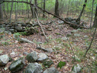 site 2 by c.st. 1.JPG.png