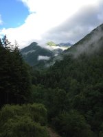 IMG_1372.jpg
