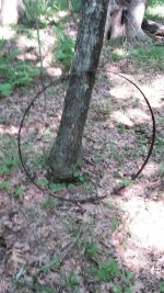 Wagon wheel.jpg