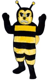 bee scott.jpg