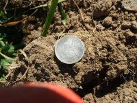20140828_140318 seated dime at site.jpg