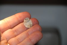 DSC_0310.JPG