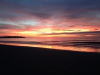 IMG_0320.2014-08-21_093604.jpg