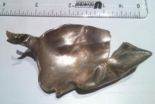 photo 1.jpg