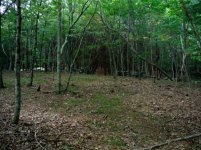 2014-09-06 006 (800x600).jpg