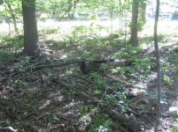IMG_1595.jpg