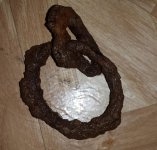 Iron loop.jpg