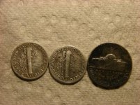 10-2-14 silver back.jpg
