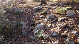 DSCF1376.jpg